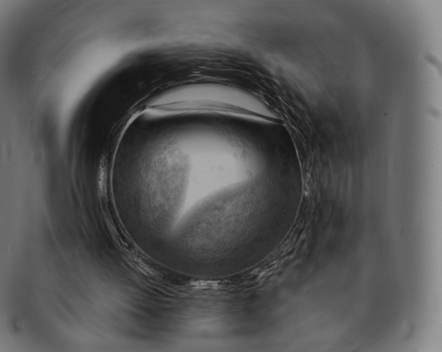 X0000091290052200708241038