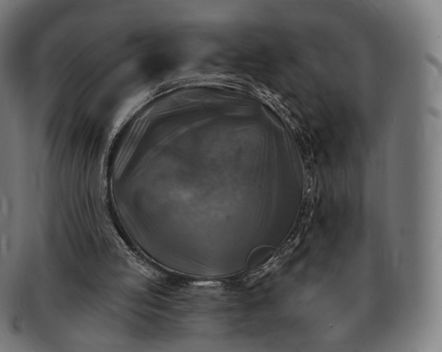 X0000091290053200708241038