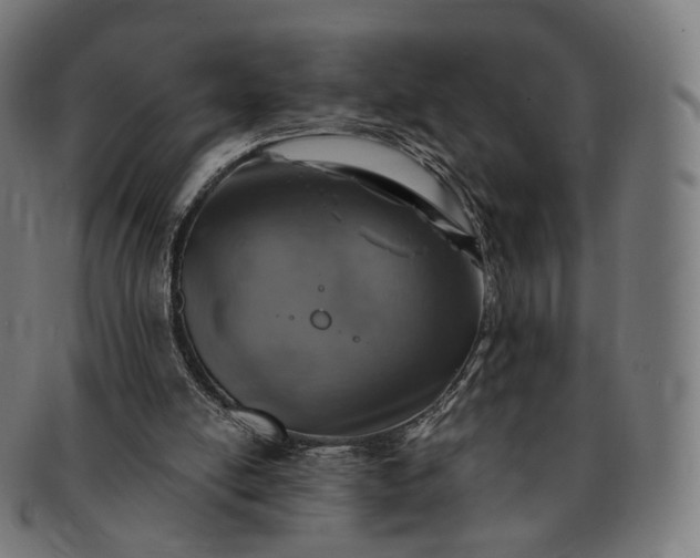 X0000091290054200708241038