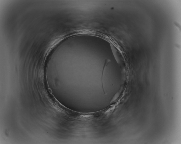 X0000091290055200708241038