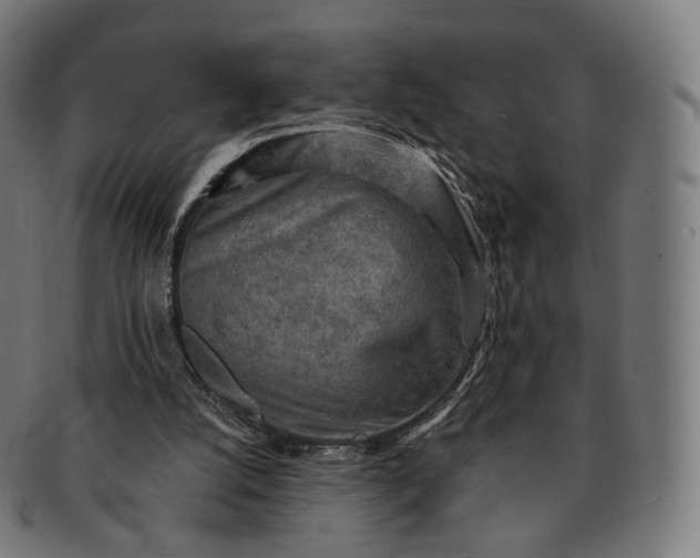 X0000091290056200708241038