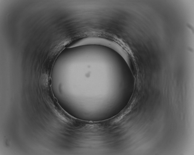 X0000091290057200708241038