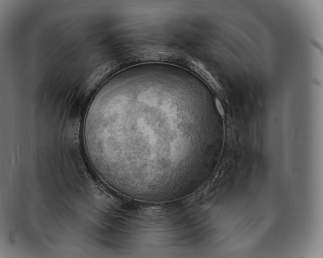 X0000091290058200708241038