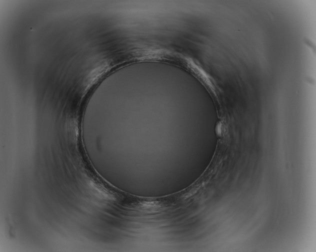 X0000091290059200708241038