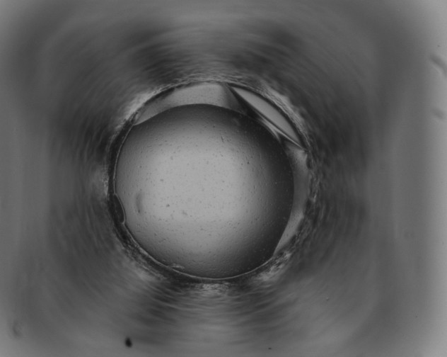 X0000091290060200708241038