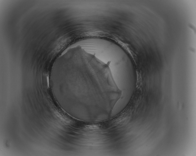 X0000091290061200708241038