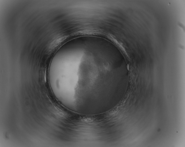 X0000091290062200708241038