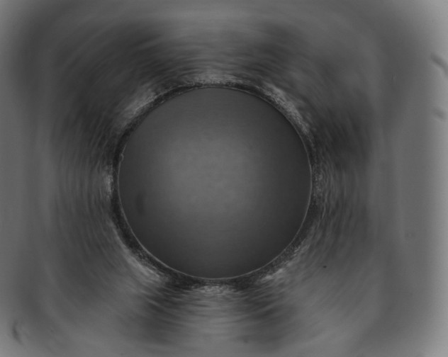 X0000091290063200708241038