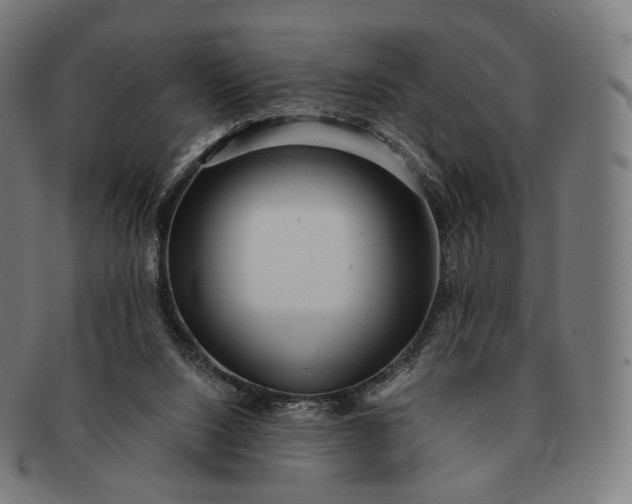 X0000091290064200708241038