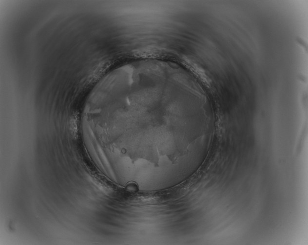 X0000091290065200708241038