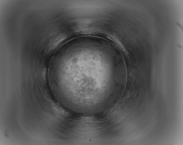 X0000091290066200708241038