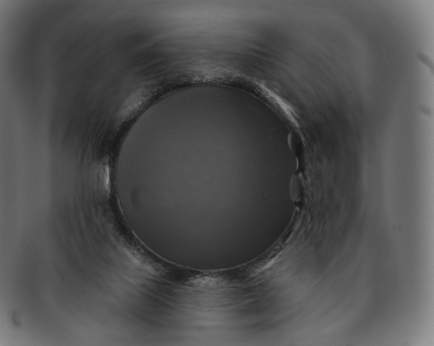 X0000091290067200708241038