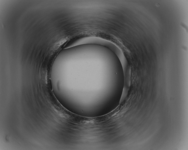 X0000091290068200708241038