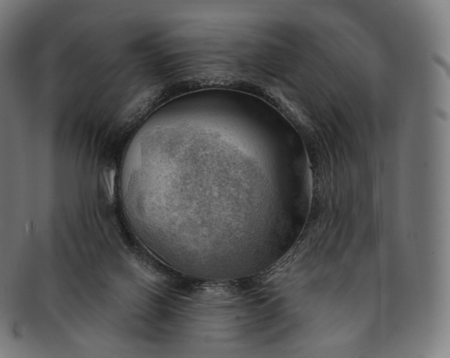 X0000091290070200708241038