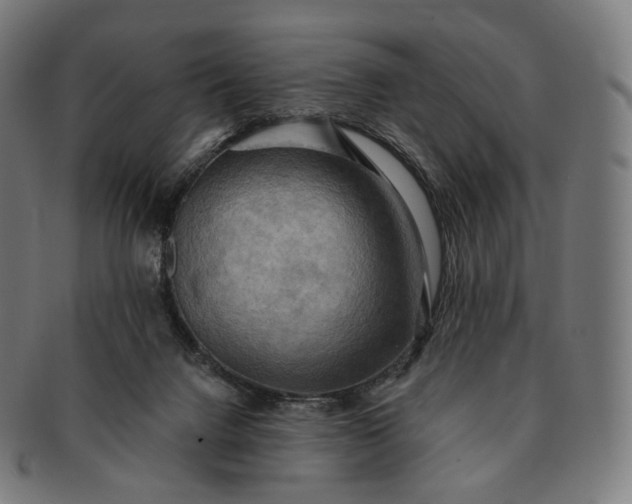 X0000091290072200708241038