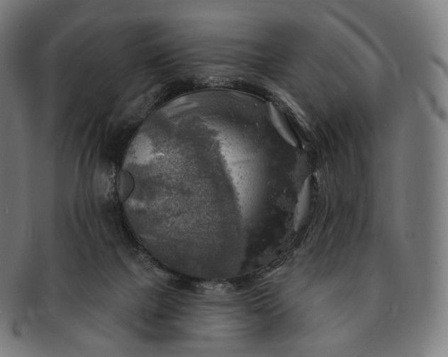 X0000091290073200708241038