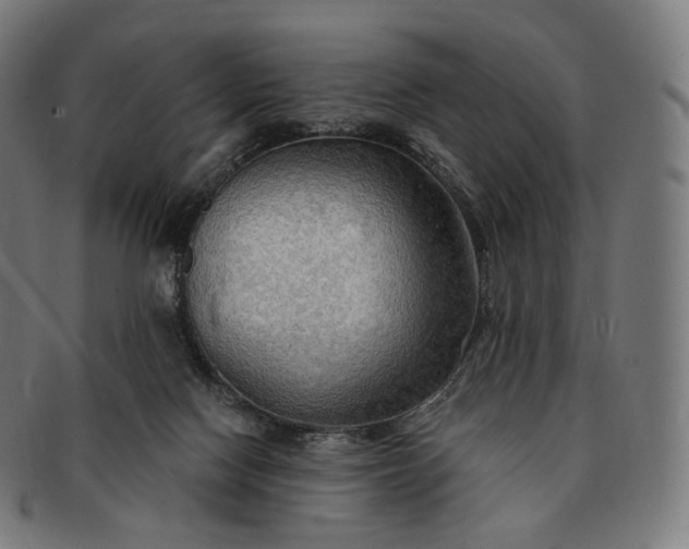 X0000091290074200708241038