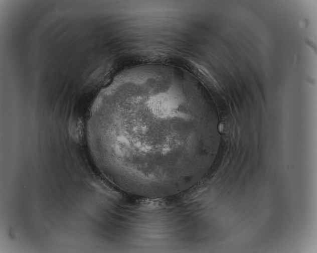 X0000091290077200708241038