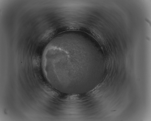 X0000091290078200708241038