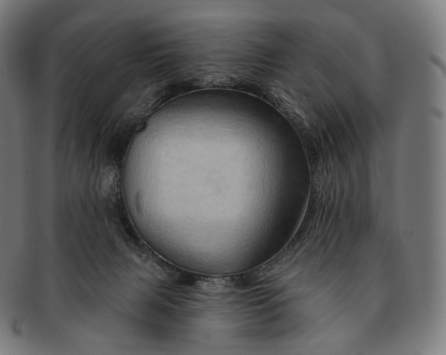 X0000091290079200708241038