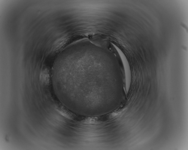 X0000091290080200708241038