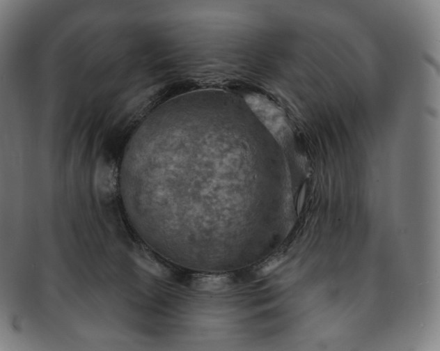 X0000091290081200708241038