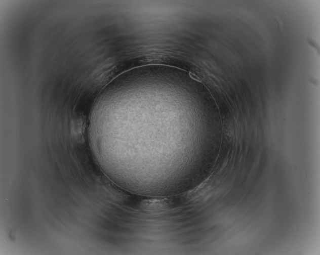 X0000091290082200708241038