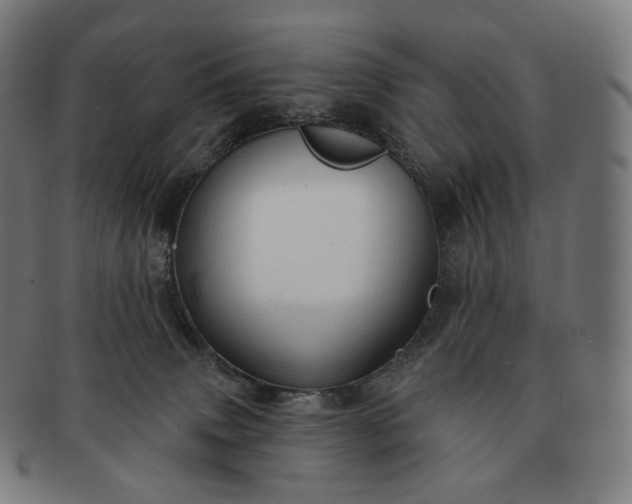 X0000091290083200708241038