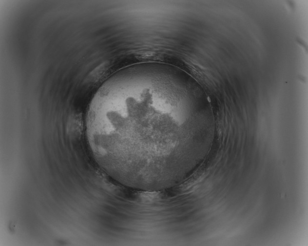 X0000091290085200708241038