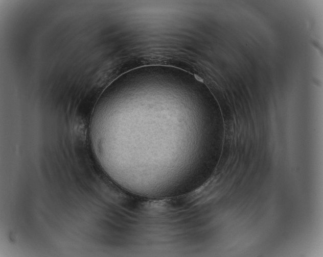 X0000091290086200708241038