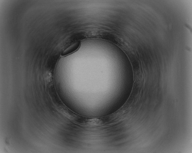 X0000091290087200708241038