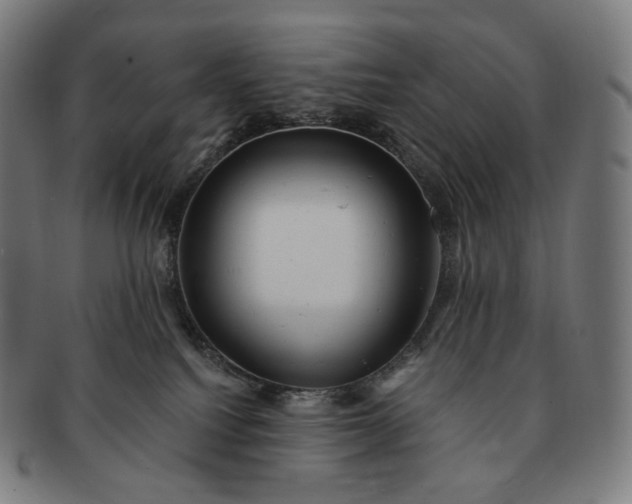 X0000091290088200708241038