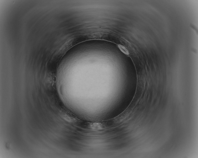 X0000091290091200708241038