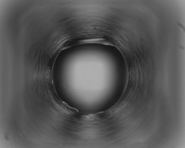 X0000091290092200708241038