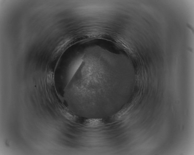 X0000091290093200708241039