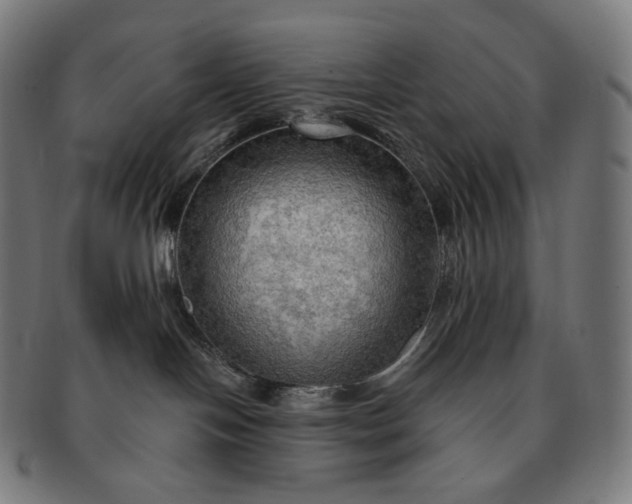 X0000091290094200708241039