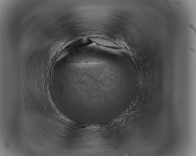 X0000091290097200708241038