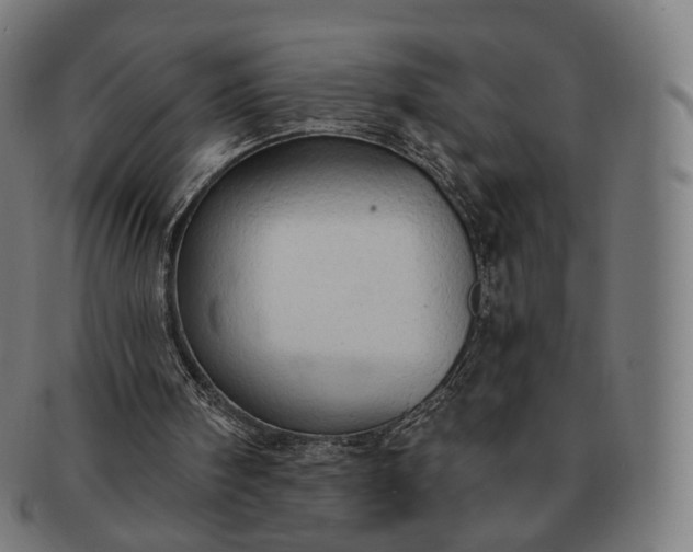 X0000091290098200708241038