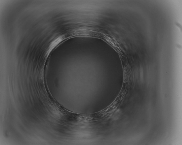 X0000091290099200708241038