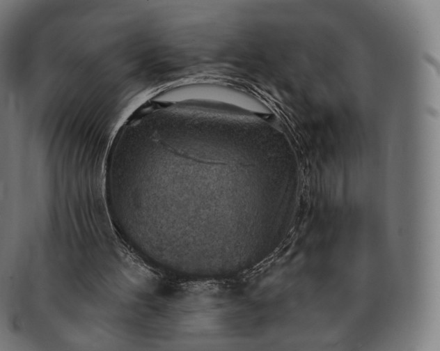 X0000091290100200708241038