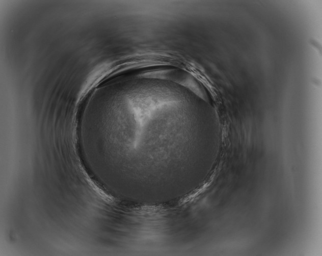 X0000091290101200708241038