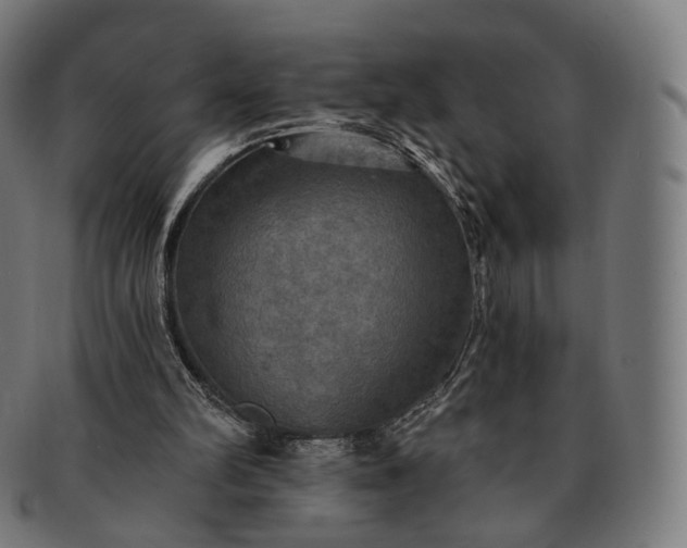 X0000091290102200708241038