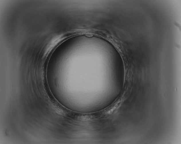 X0000091290103200708241038