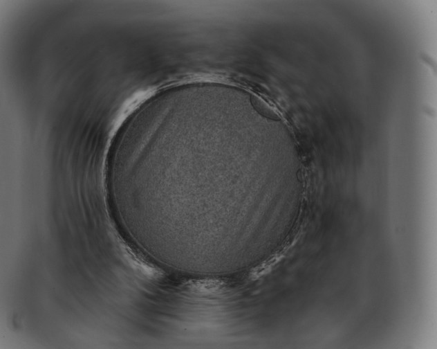 X0000091290104200708241038