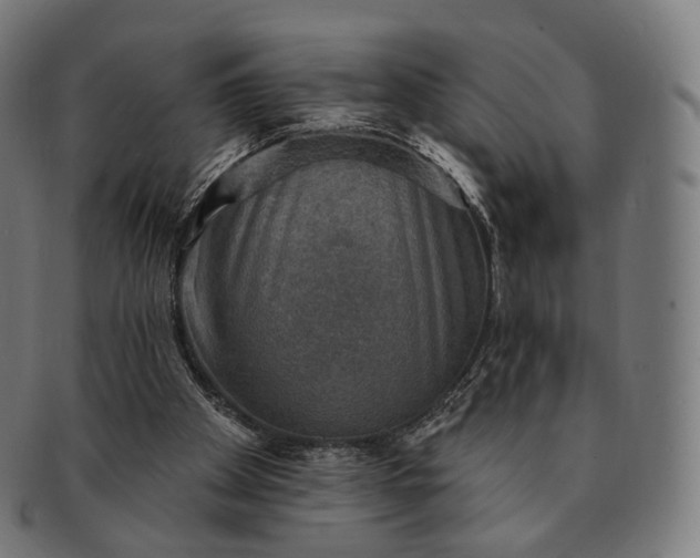 X0000091290105200708241038