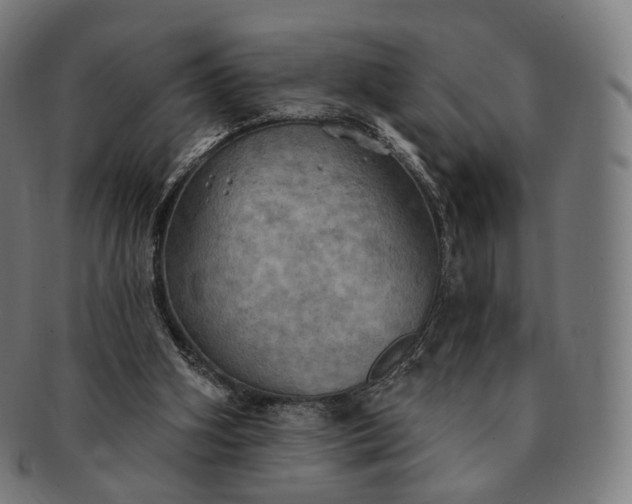 X0000091290106200708241038