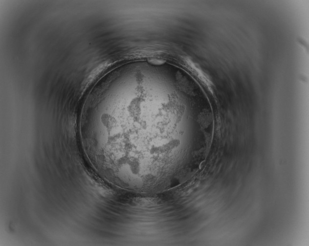 X0000091290107200708241038