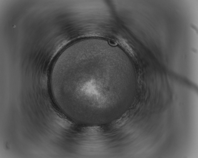 X0000091290108200708241038