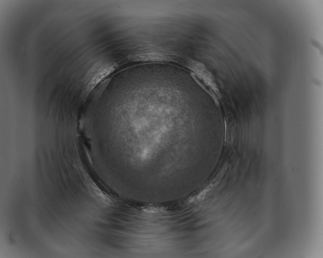 X0000091290109200708241038