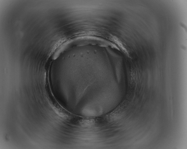 X0000091290110200708241038